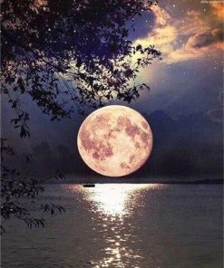 Beautiful Full Moon on Lake - Landscape Paint By Number