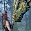 Dragon And Woman paint by number