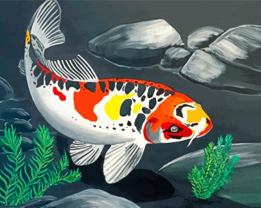 Koi Carp Fish Paint by numbers