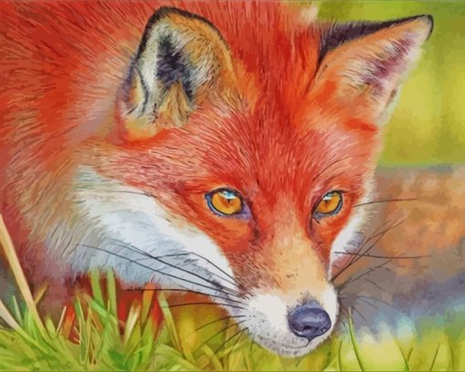 red-fox-paint-by-numbers