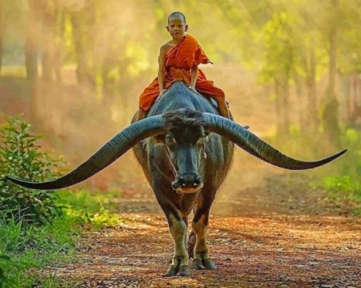 boy-monk-riding-buffalo-paint-by-numbers