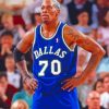 chicago-bulls-dennis-rodman-paint-by-numbers