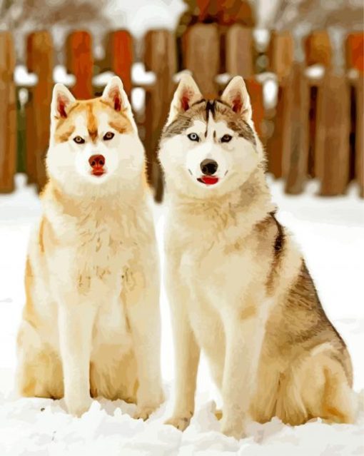 cute-huskies-paint-by-numbers