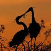 heron-silhouette-paint-by-numbers