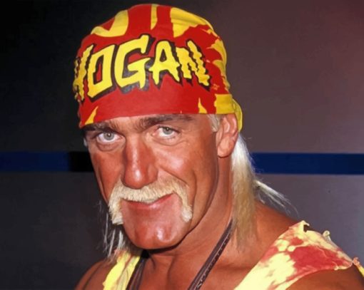 hulk-hogan-paint-by-numbers