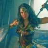 Wonder Woman Fighting Paint by numbers