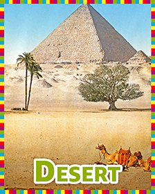 Deserts